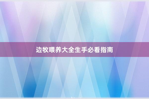 边牧喂养大全生手必看指南