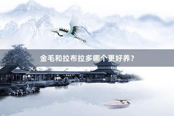 金毛和拉布拉多哪个更好养？